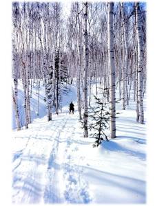 photo courtesy Erickson family photo collection